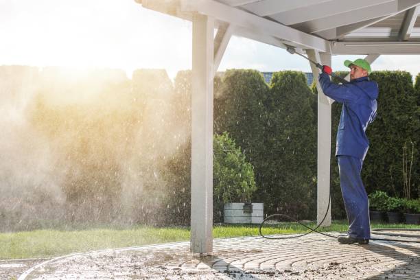 Animal Enclosure Cleaning in Satsuma, AL